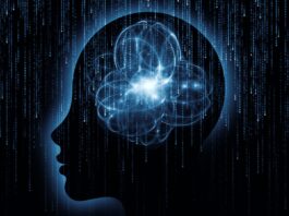 go make it_low-code-mindset_beitrag